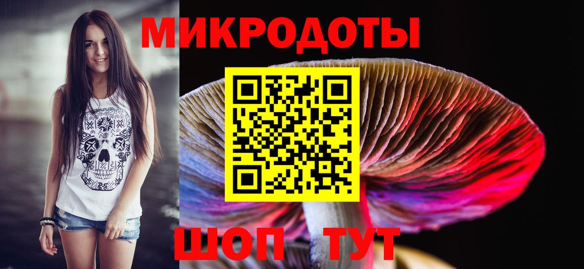Галлюциногенные грибы Psilocybe  Вход с VPN  Киров 