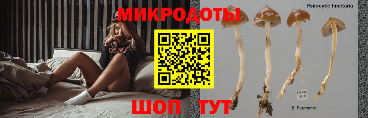 Галлюциногенные грибы прущие грибы Киров